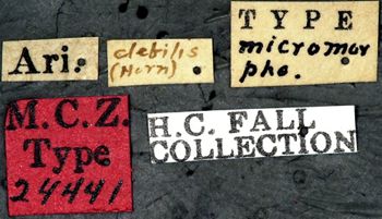Media type: image;   Entomology 24441 Aspect: labels